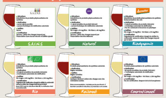 Notre guide pratique pour tout connaitre sur les vins