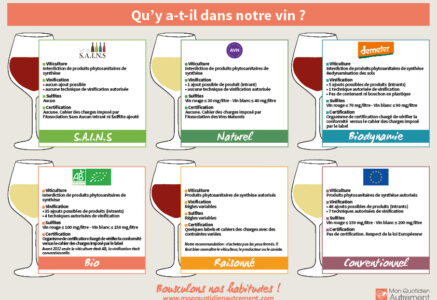 Notre guide des vins bios, raisonnés, labellisés, conventionnels …