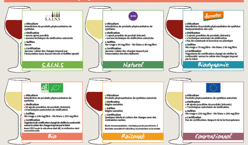 Notre guide pratique pour tout connaitre sur les vins