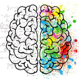 Les deux hémisphères de notre cerveau.