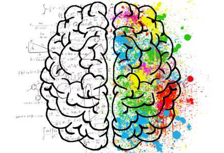 5 idées reçues sur notre cerveau
