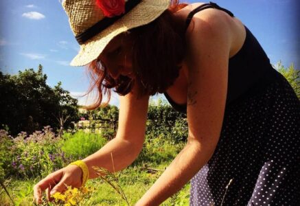 Les Cueilleuses de paysages