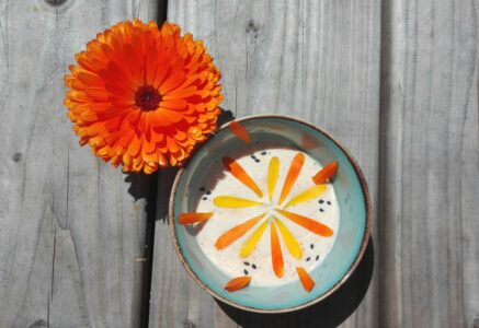 Sauce légère au Calendula pour dips et tartinades