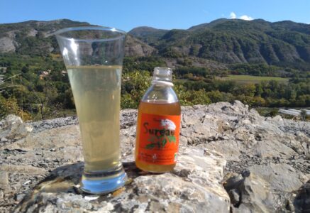 Le sirop bio de fleurs de sureau sauvages
