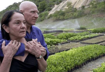Les joyeux reforestiers
