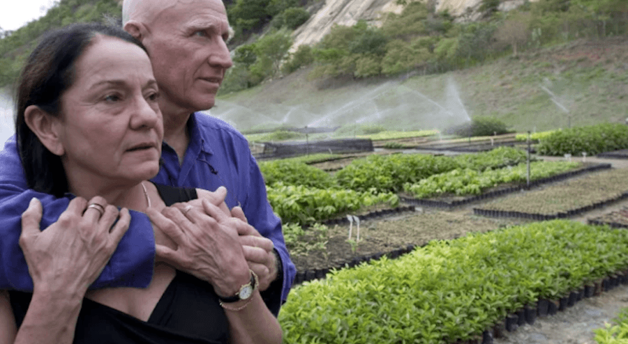 Sebastiao Salgado et sa femme ont planté plus de deux millions d'arbres.