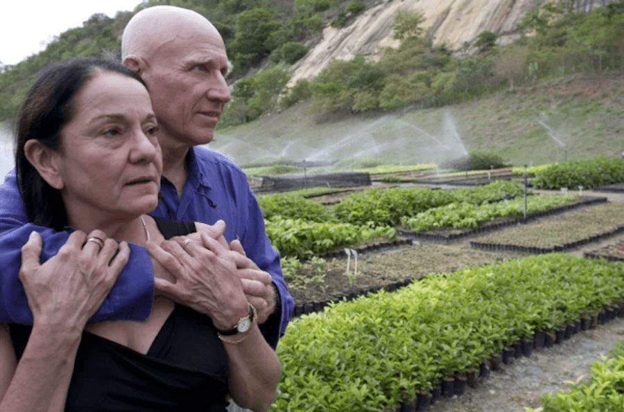 Sebastiao Salgado et sa femme ont planté plus de deux millions d'arbres.