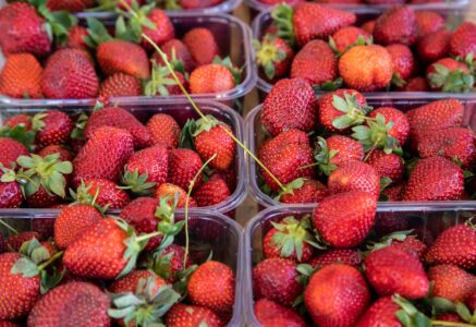 Elle ramène sa fraise… même en hiver