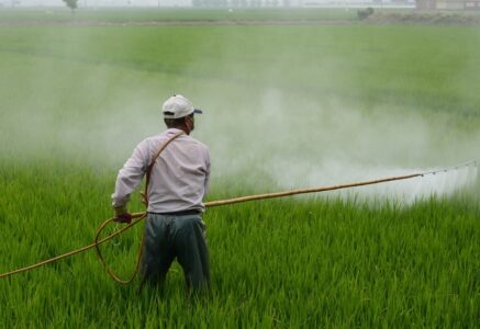 « On a le droit de savoir s’il y a des pesticides dans ce qu’on consomme »