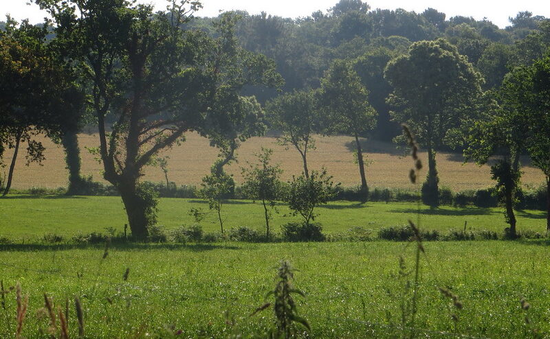 Le bocage breton. © Rhian