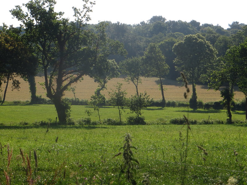 Le bocage breton. © Rhian