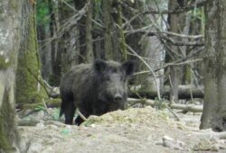 Ça fait réfléchir