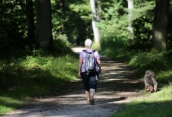 Comprendre en 1 minute