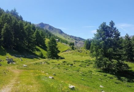 160 000 signatures : une pétition pour un accès à la nature en (dé)confinement cartonne