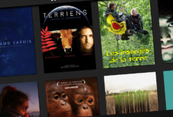 Coup de cœur durable