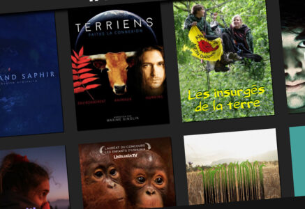 Trois alternatives à Netflix