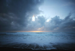 Coup de cœur durable