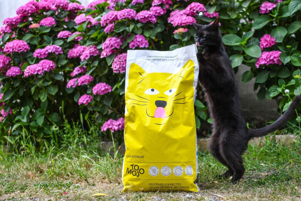 Croquettes pour chat aux insectes Tomojo