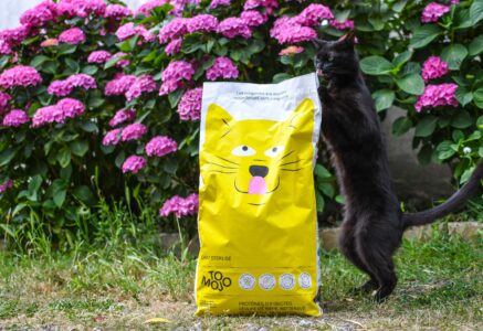 Croquettes aux insectes pour chat