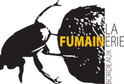 Des gens qui se bougent