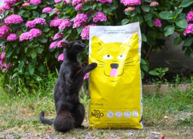 Rasage zéro déchet, croquettes pour chat, jeans écolos