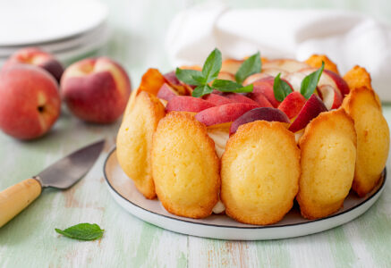 Recette de charlotte aux pêches et aux madeleines sans gélatine