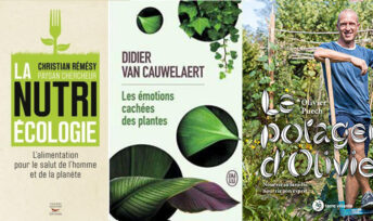 Lectures estivales