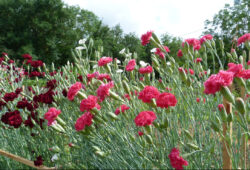 Des gens qui se bougent