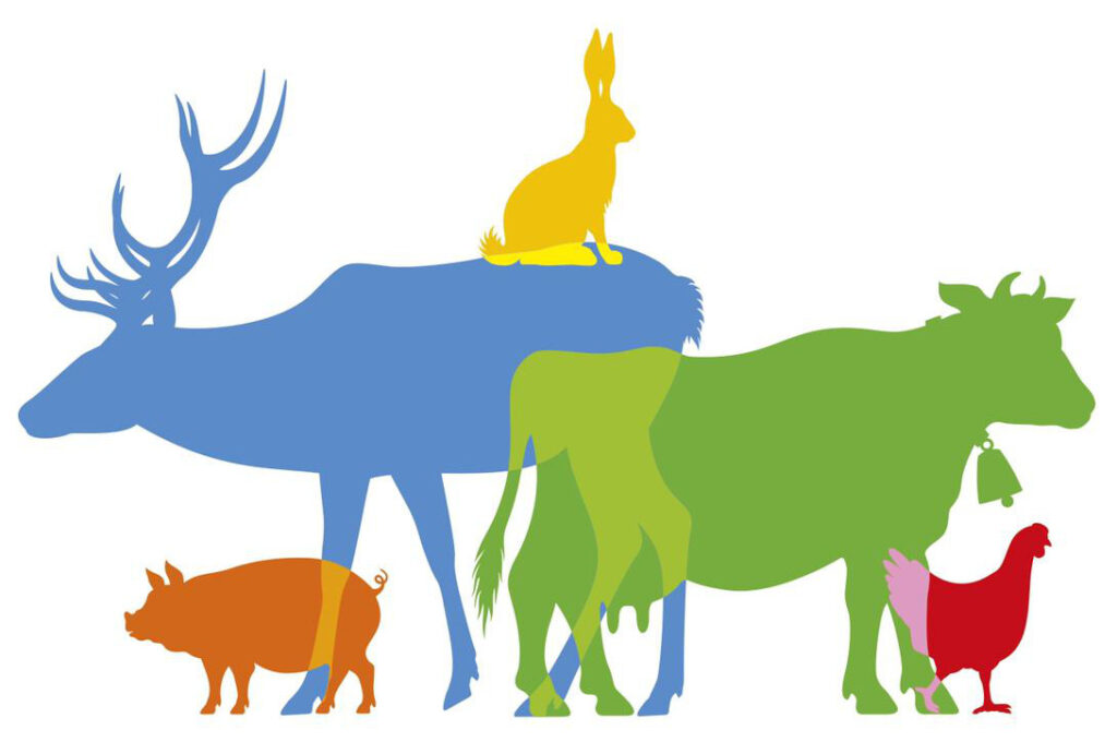 Référendum pour les animaux
