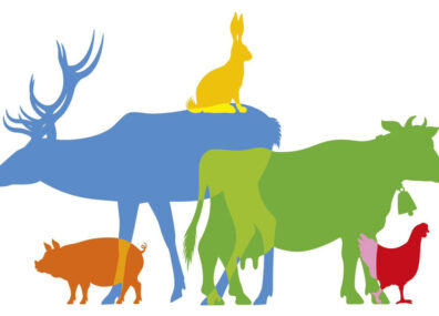 Référendum des animaux en souffrance