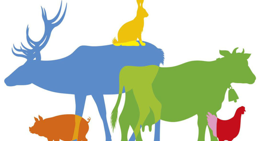 Référendum pour les animaux