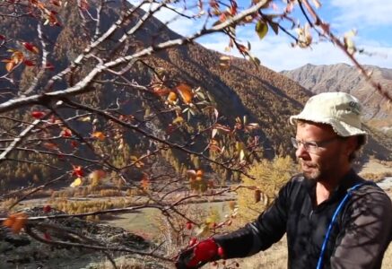 Sébastien Chosson, artisan cueilleur dans le Queyras