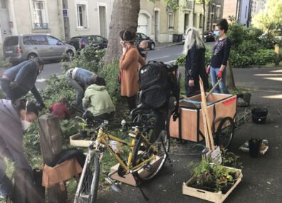 Jardinières masquées, jardinières d’hiver