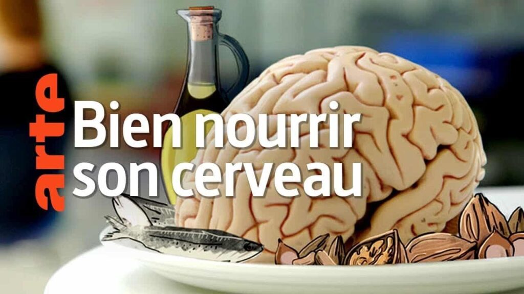 Bien nourrir son cerveau.