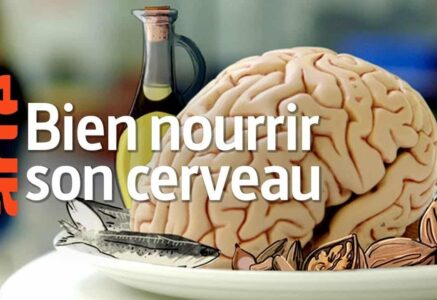 Alimentation et cerveau : Bien nourrir son cerveau