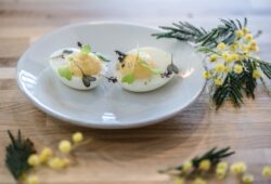 Belle adresse nature écolo