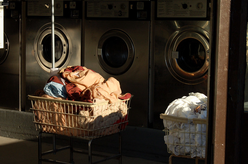 ecotoxicologue-pollution