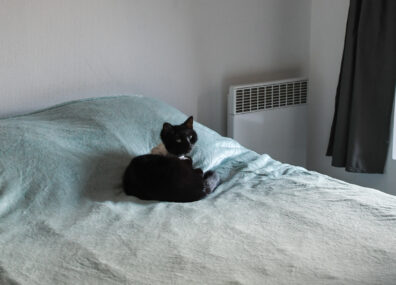 Passoires thermiques