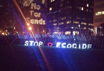« Délit d’écocide » : le timide cadeau écolo du gouvernement