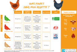 Et le poulet