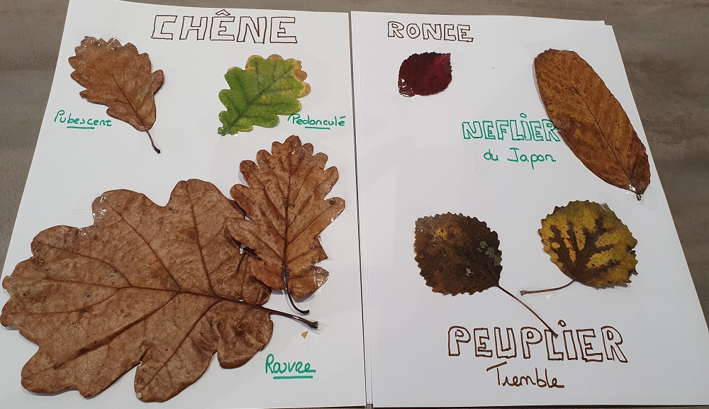 Un exemple d'activité.
