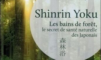 Bains de forêt