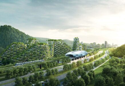 Les villes-forêts à la conquête du monde