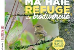 Haie refuge