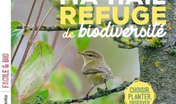 Ma haie, refuge de biodiversité.