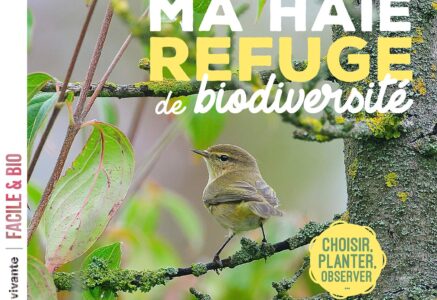 Ma haie, refuge de biodiversité