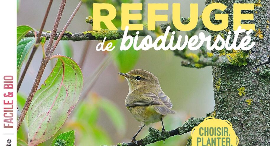 Ma haie, refuge de biodiversité.