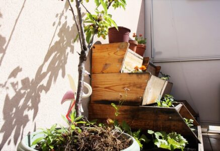 Comment j’ai transformé ma terrasse en un petit coin de nature