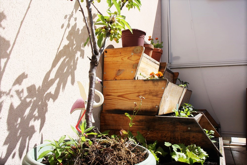 Lombricompost Easy jardin. Crédit: Elsa bastien