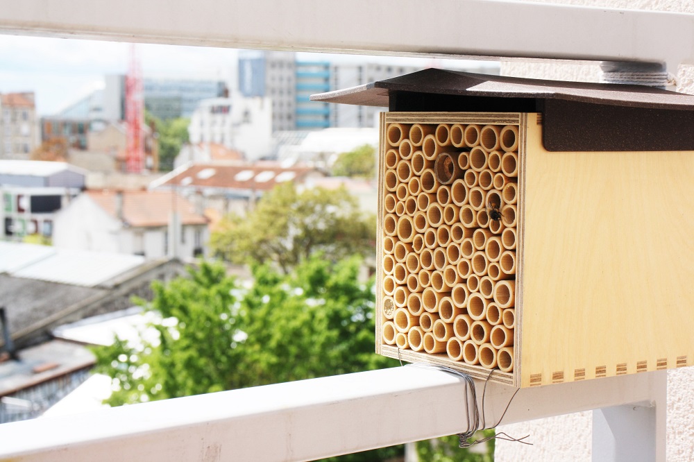 BeeHome